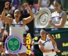 Marion Bartoli şampiyonu Wimbledon 2013